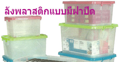 ลังพลาสติกแบบมีฝาปิด