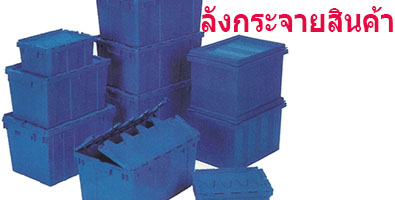 ลังกระจายสินค้า